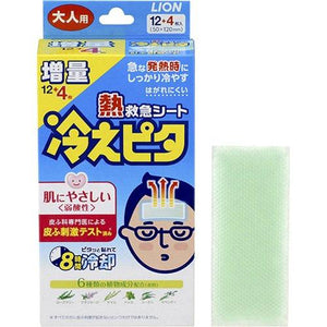 冷えピタ　8時間冷却　大人用