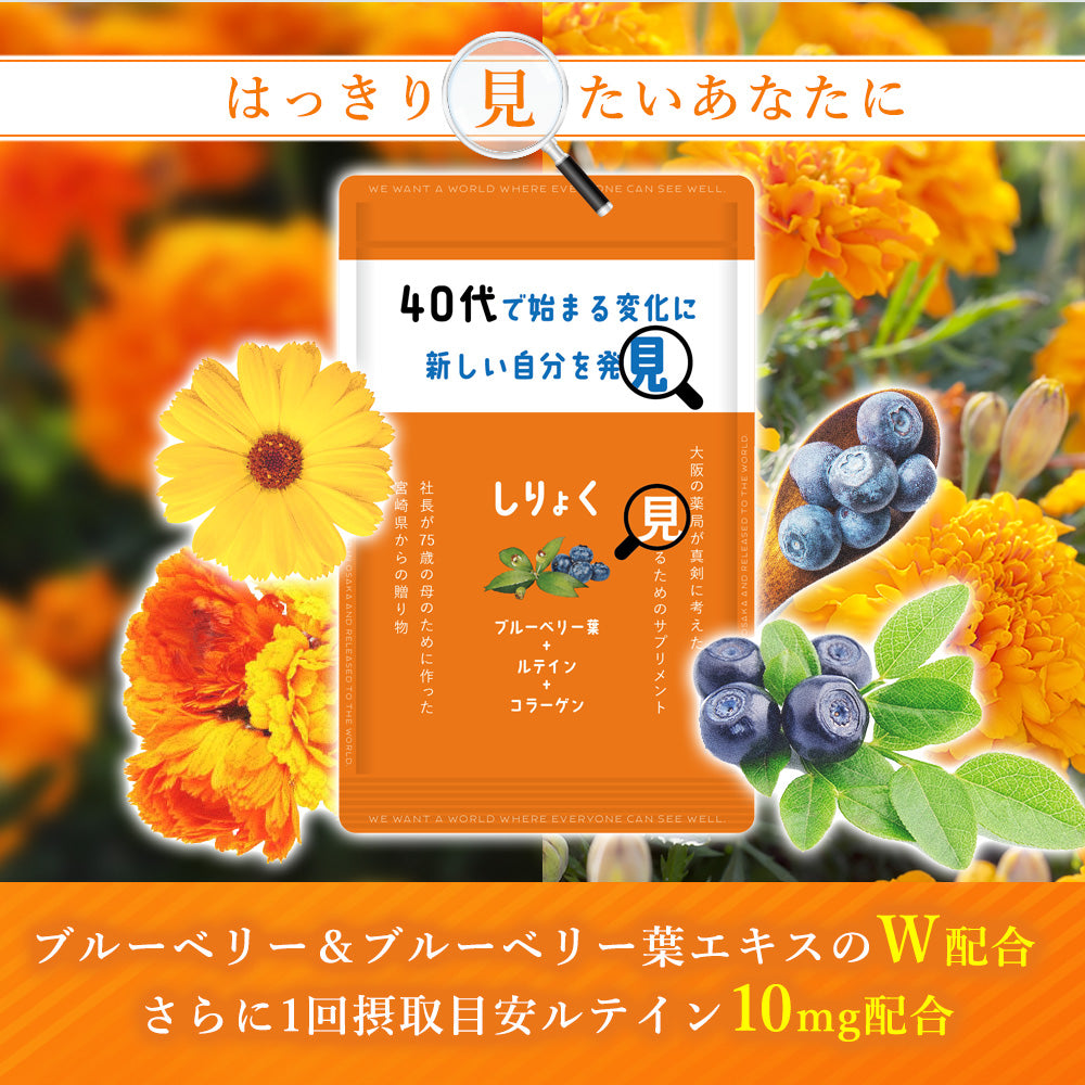 しりょく