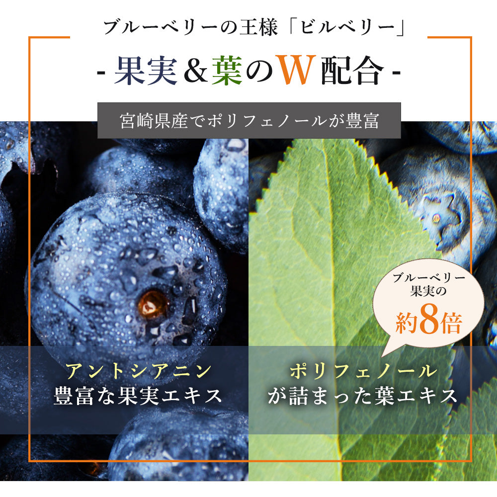 しりょく