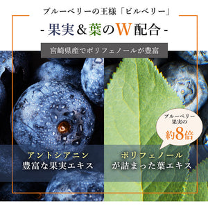 しりょく