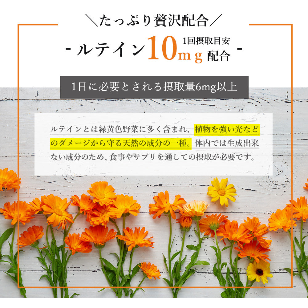 しりょく