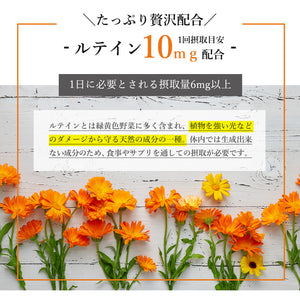 しりょく
